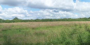 Field adjacent to the foot path from the A259 to Nore Barn Woods