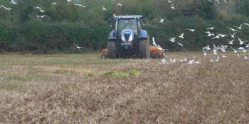 Ploughing at Warblington