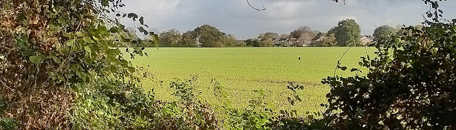 Field North of Nore Barn Woods